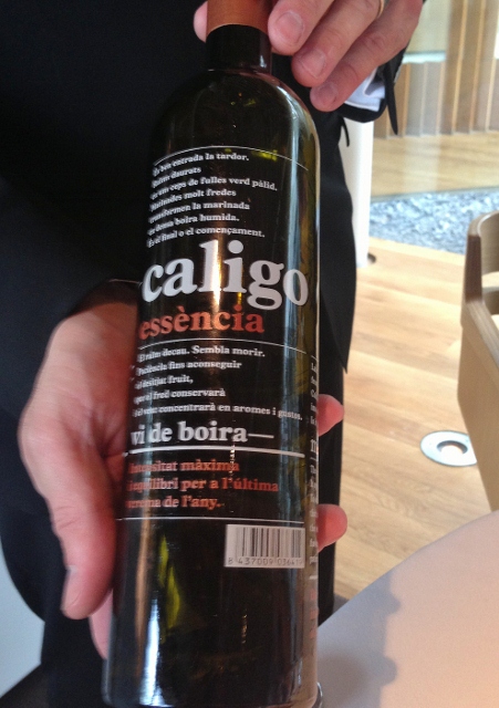 Celler_Can_Roca_Caligo_Vi_Boira